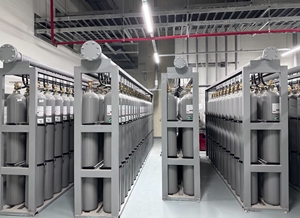 Hệ Thống Chữa Cháy Bằng Khí IG-100 (N2)