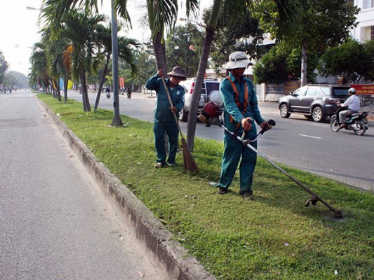 Dịch vụ cắt cỏ