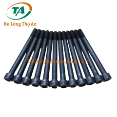 Bu lông lục giác chìm đầu trụ đen