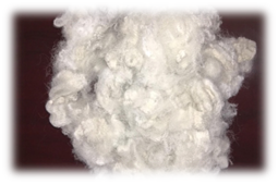 Xơ Polyester 6D SD