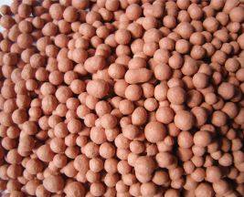 Zeolite hạt đỏ