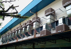 Hê thống làm mát bằng máy làm mát Air Cooler