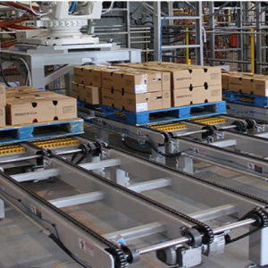 Băng tải xích pallet