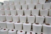 Thien An Thinh Yarn - Thien An Thinh Textile Garment Investment Joint Stock Company logo