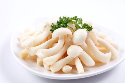 Nấm thủy tiên