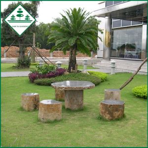Thiết Kế, Thi Công Sân Vườn - Tiểu Cảnh
