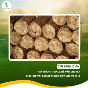 Củi Mùn Cưa D90