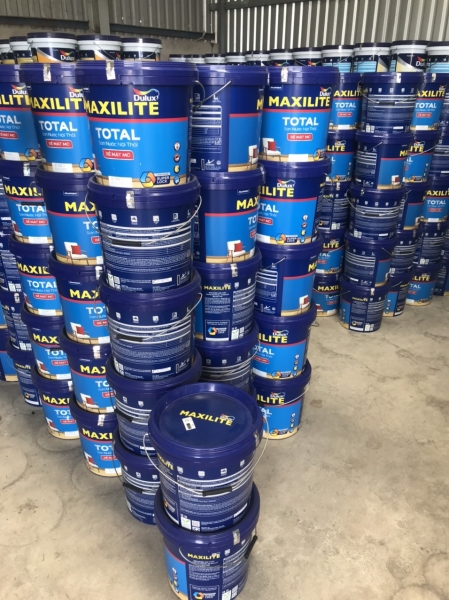 Sơn Maxilite