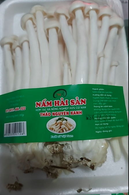 Nấm hải sản