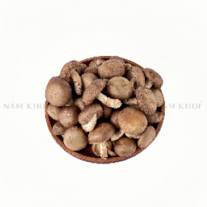 Nấm Hương Đà Lạt