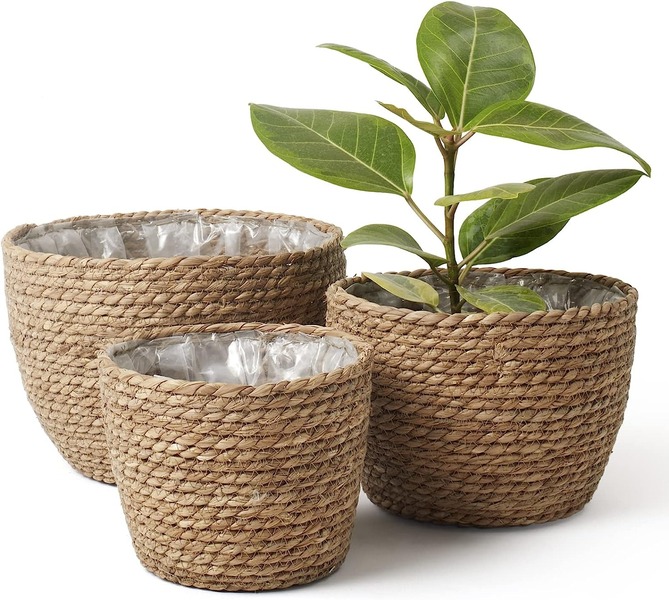 Giỏ trồng cây đan bằng cói