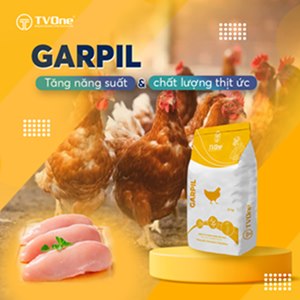 Garpil