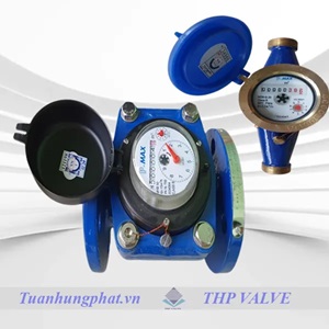 Đồng Hồ Nước Pmax