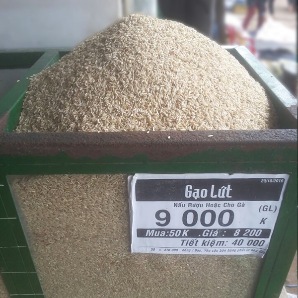 Gạo lứt