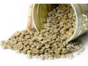 Cà phê nhân sống Robusta S18
