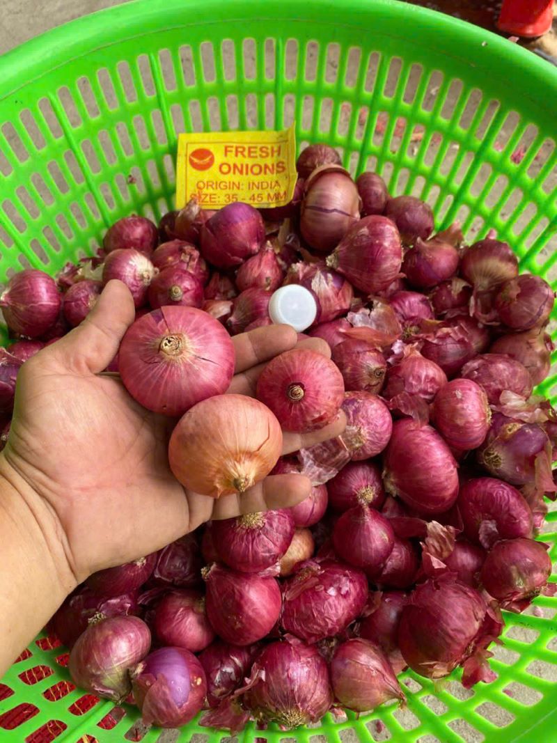 Hành tươi Ấn Độ