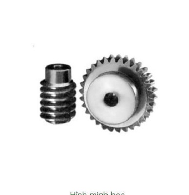 Bánh Vít Trục Vít WRM2.5-60
