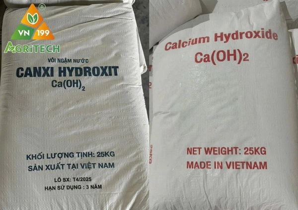 Vôi ngậm nước