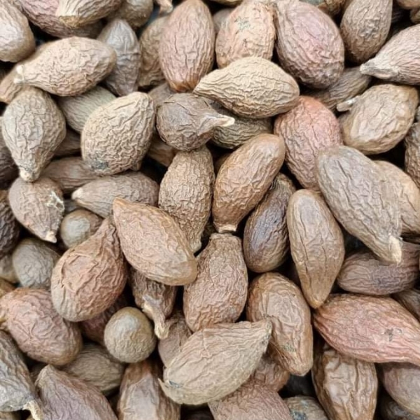 Malva nut