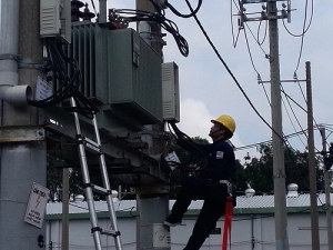 Thi Công Lắp Đặt Thiết Bị Đường Dây Trung Hạ