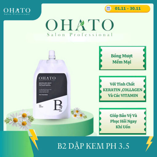 Kem dập ép đa năng Ohato B2