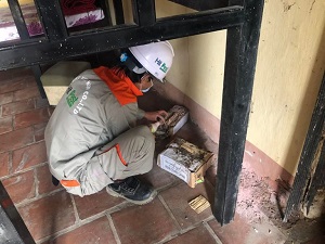 Dịch Vụ Kiểm Soát Và Diệt Mối