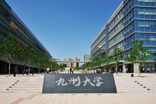 Đào tạo đại học
