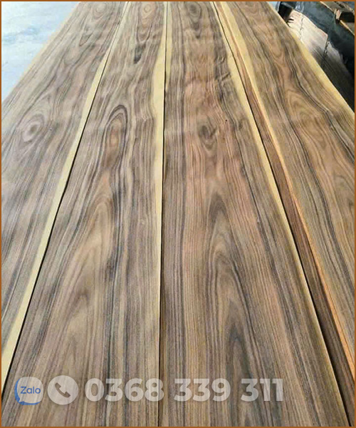 Veneer Santos