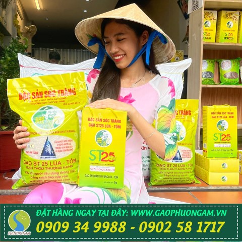 Gạo biếu tết