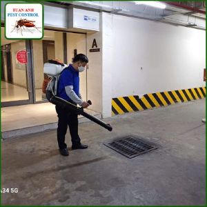 Dịch Vụ Kiểm Soát Gián