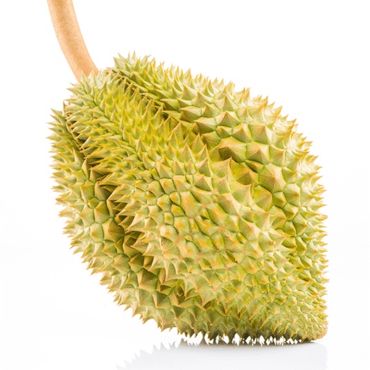 Sầu riêng