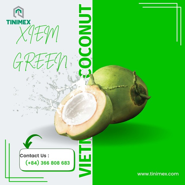 Dừa xiêm xanh