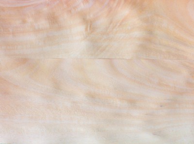 Veneer xoài vườn
