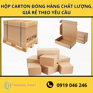 Hộp Carton Đóng Hàng