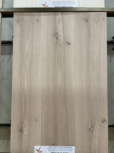 Ván Veneer Sồi FSC
