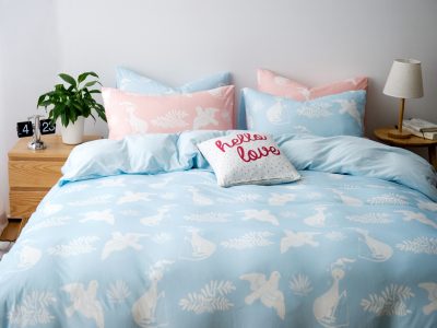 Bộ drap cotton