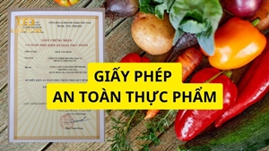 Tư Vấn Giấy Phép VSATTP