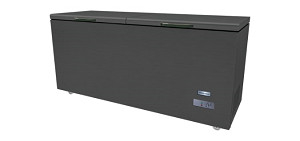 Tủ Đông Nằm 2 Cánh Inox