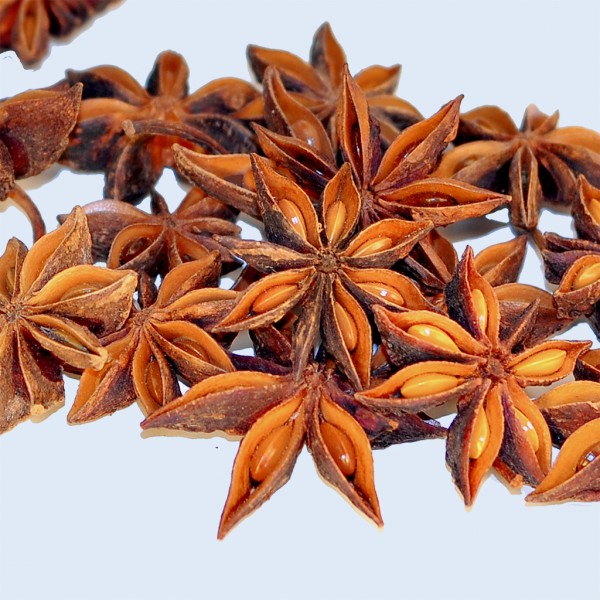 Hoa hồi