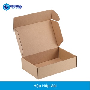 Hộp Carton Nắp Gài