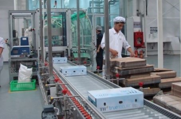 Dịch vụ bảo trì băng tải