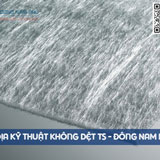 Vải địa kỹ thuật không dệt TS