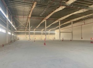 Cho Thuê Nhà Xưởng KCN Hải Phòng
