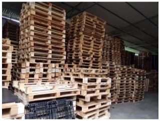 Pallet gỗ