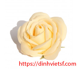 Đầu bông hoa sáp 4 lớp