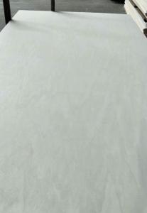 Bleech poplar plywood