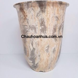 Chậu cảnh vân đá
