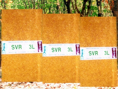 Cao su SVR 3L