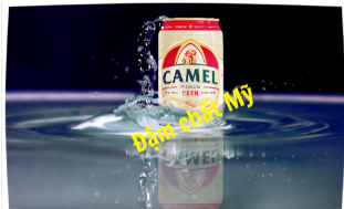 Bia camel premium