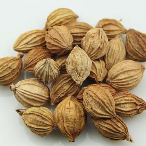 Sa nhân trắng